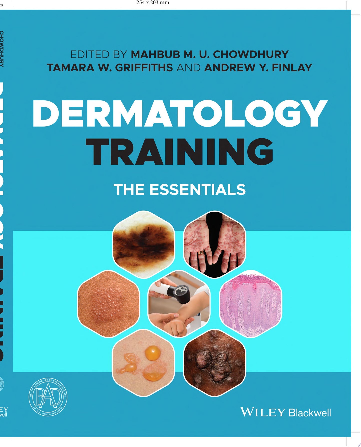 Dermatology Training: The Essentials
