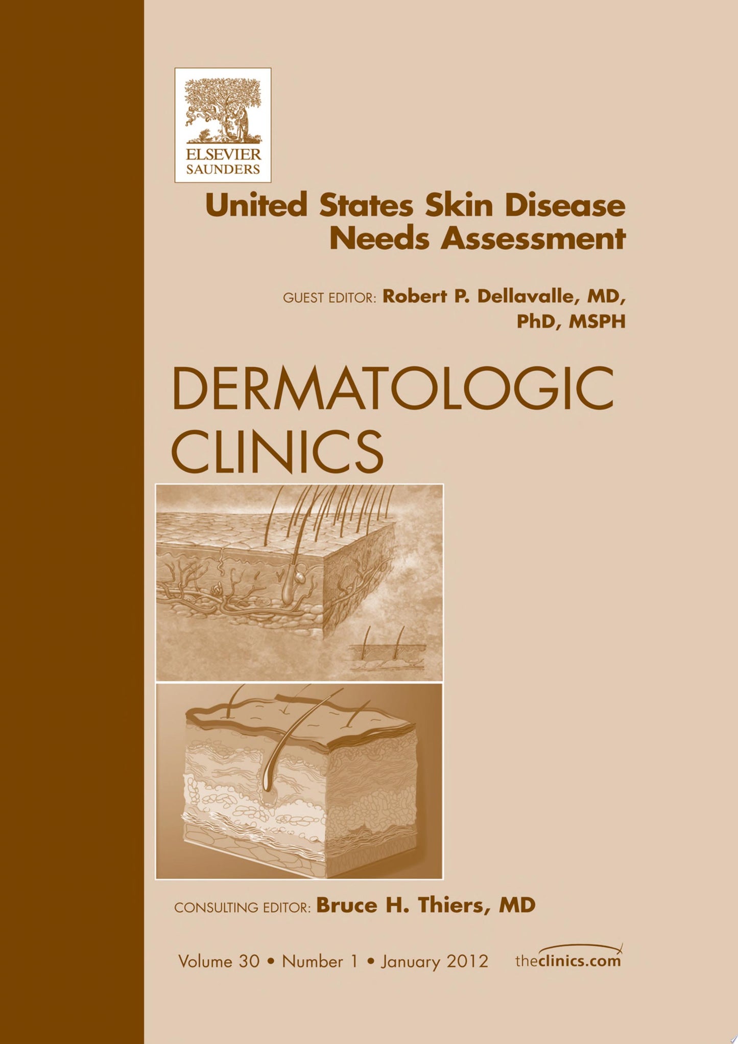 United States Skin Disease Needs Assessment, An Issue of Dermatologic Clinics, 1e